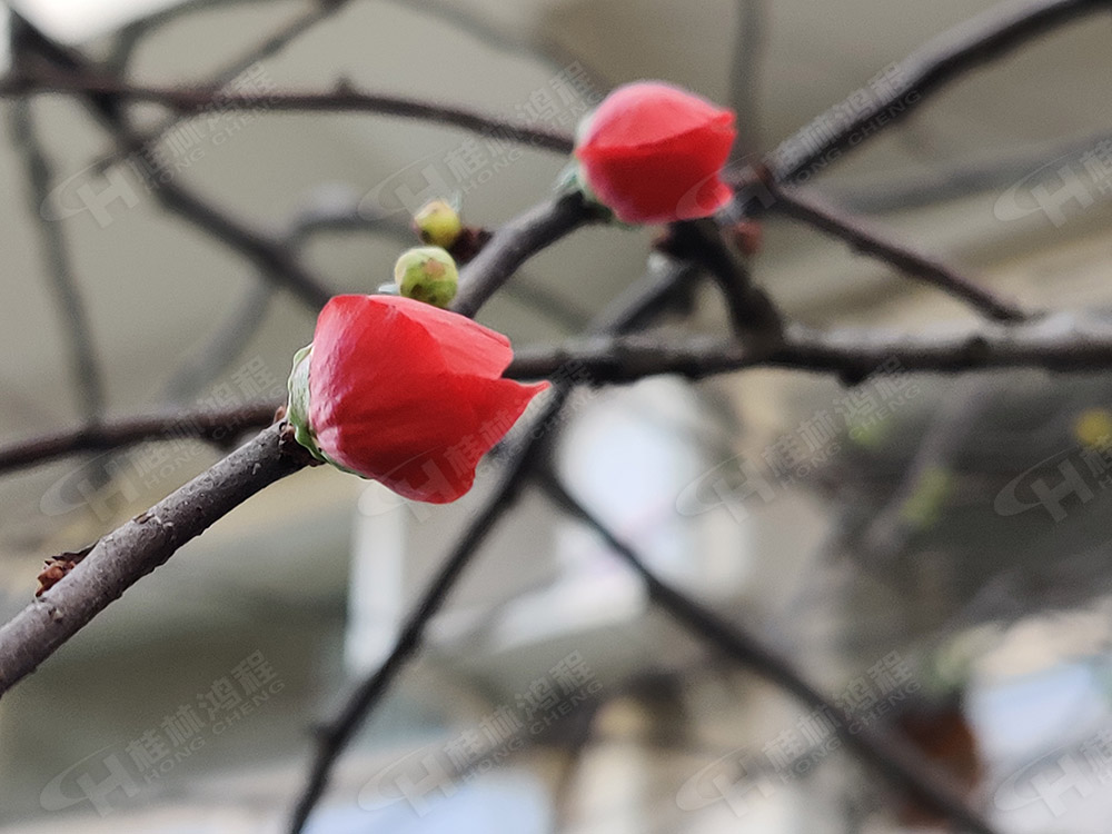桂林鴻程花團(tuán)錦簇，滿園春色，邀您一起共賞春景，共商大計(jì)！