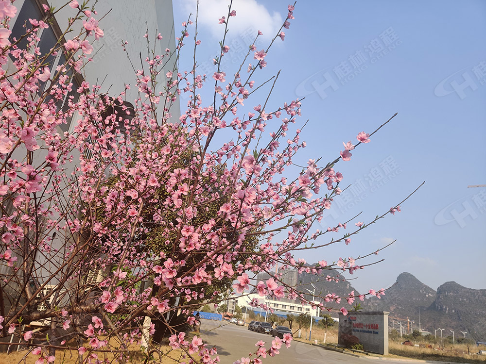 桂林鴻程花團(tuán)錦簇，滿園春色，邀您一起共賞春景，共商大計(jì)！